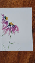 Coneflower Couplet Pack of 3