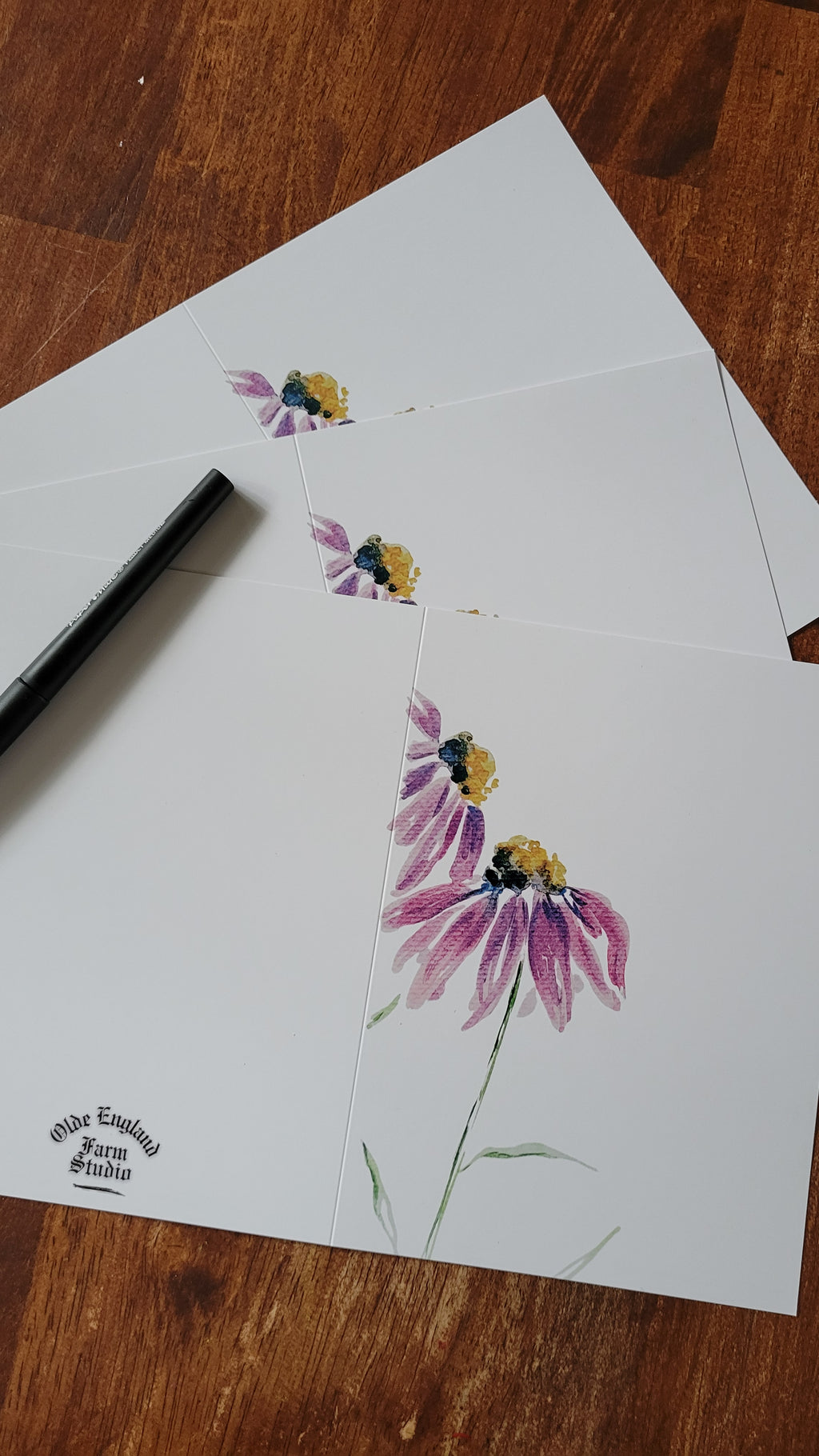 Coneflower Couplet Pack of 3