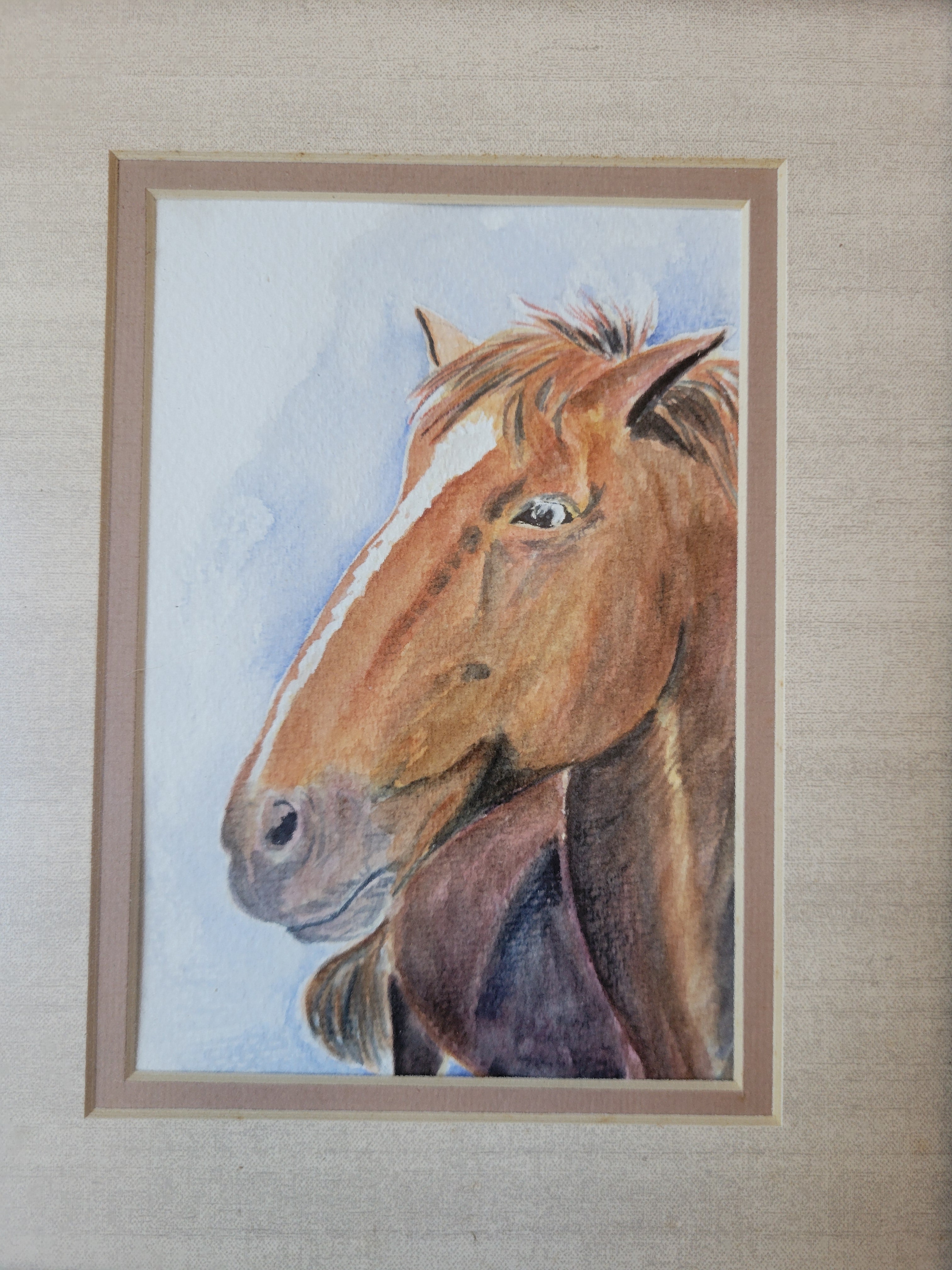 Bay Horse 8x10